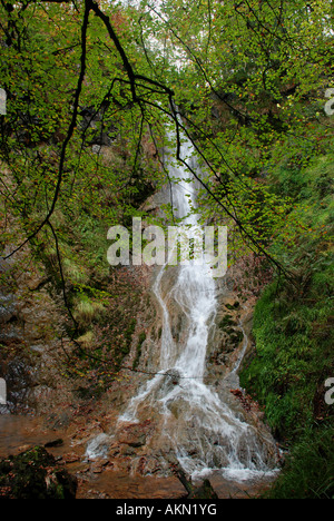 Grey Mare's Tail waterfall,llanrwst North Wales Stock Photo