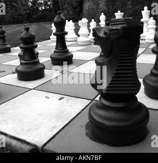 Harry Potter Chess fotografering för bildbyråer. Bild av härda - 48584773