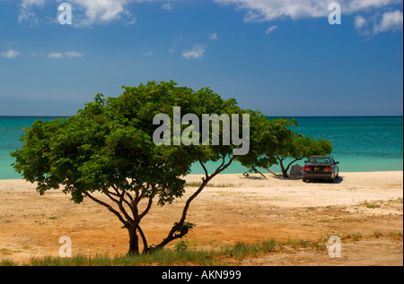 Eagle Beach, Aruba, Lesser Antilles, Caribbean Stock Photo