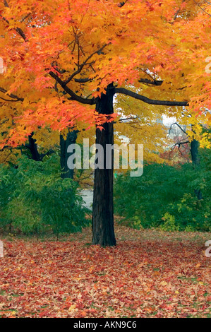 Ile Sainte-Helene, Parc des Iles, Montreal, Quebec, Canada Stock Photo