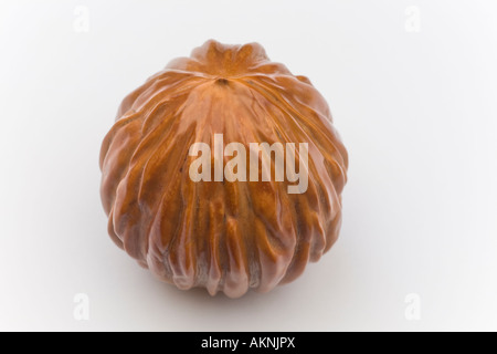 A macrophotograph of a polished nut of the black Walnut. Macrophotographie d'une noix de noyer noir polie (Juglans nigra). Stock Photo