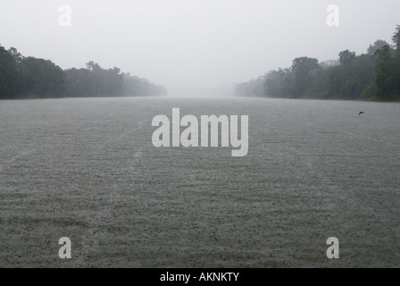 Mamiraua Ecological Reserve, Tropical rain storm, NOVEMBER Amazon BRAZIL Stock Photo