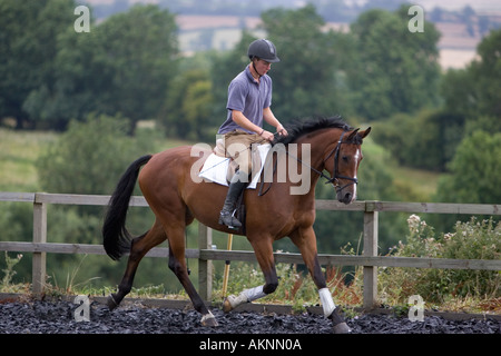 Young man schools a Dutch Warmblood horse Oxfordshire Great Britain Stock Photo