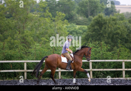 Young man schools a Dutch Warmblood horse Oxfordshire England Stock Photo