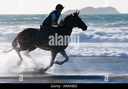 Young woman rides a bay horse on Broad Haven Beach Pembrokeshire Wales United Kingdom Stock Photo