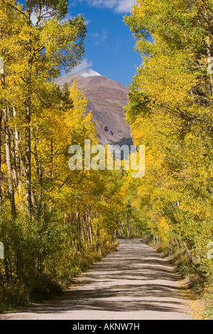 Boreas Pass road leads through golden aspen trees to the glorious mountains of Breckenridge Stock Photo