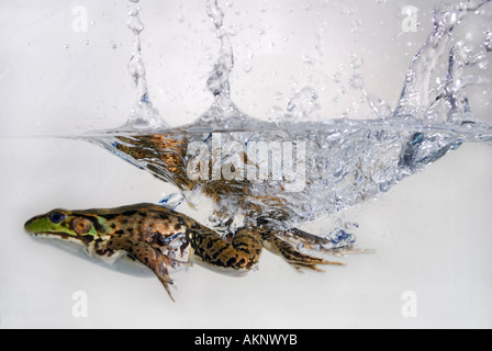 Water splash photography Stock Photo - Alamy