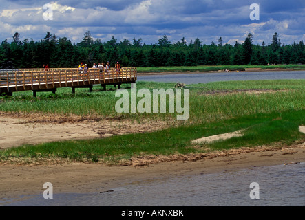 People walking along, boardwalk, barrier island, Kouchibouguac National Park, near, Richibucto, New Brunswick Province, Canada Stock Photo