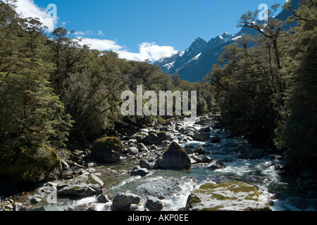 River Topuni in the Tutoko Topuni area, Milford to Te Anau road, Fiordland, South Island, New Zealand Stock Photo