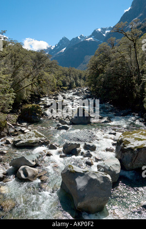 River Topuni in the Tutoko Topuni area, Milford to Te Anau road, Fiordland, South Island, New Zealand Stock Photo