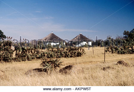 south african thatched roofs
