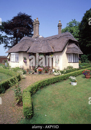 Idyllic thatched roofed detached bungalow country cottage and front garden low hedge path in Somerleyton village Suffolk East Anglia England UK Stock Photo