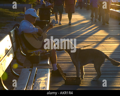 A man plays his guitar as a dog watches Stock Photo