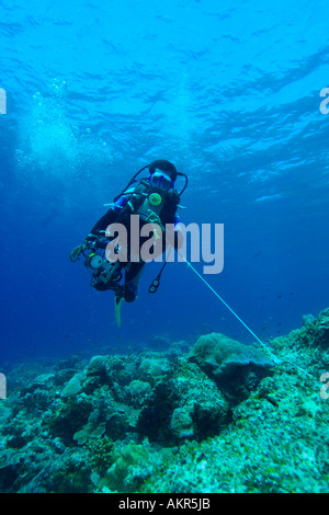 Diver using a reef hook in Maratua Borneo Stock Photo