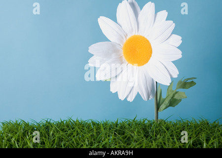 A fake flower Stock Photo