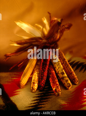 Indian corn on indian blanket still life Stock Photo