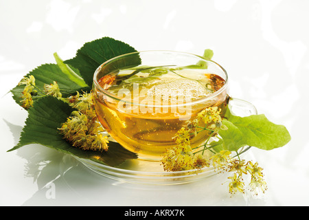 Lime blossom tea, close-up Stock Photo