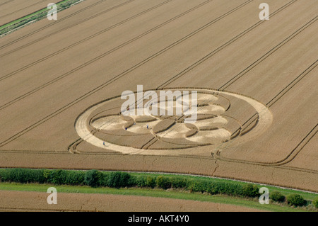 Crop circles in Wiltshire South West England Stock Photo