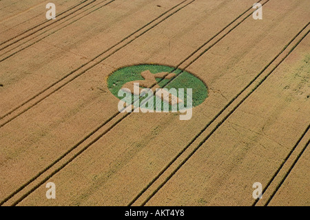 Crop circles in Wiltshire South West England Stock Photo