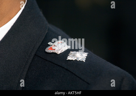 Chief Superintendant shoulder badge Stock Photo