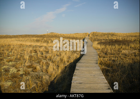 Boardwalk at Plum Island Parker River National Wildlife Refuge Newburyport Massachusetts Stock Photo