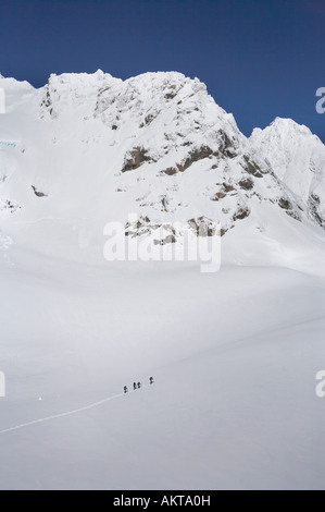 Climbing Party on Davis Snow Field above Franz Josef Glacier West Coast South Island New Zealand aerial Stock Photo
