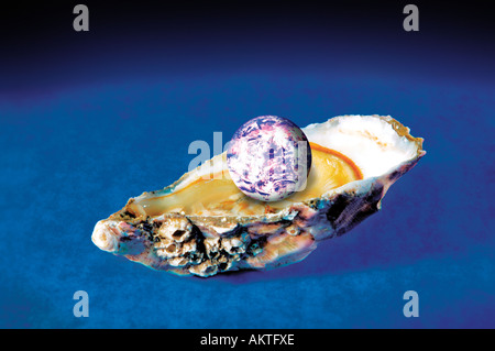 World Earth globe in oyster shell Stock Photo
