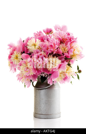 Bunch of peonies in milk can (Paeonia), close-up Stock Photo
