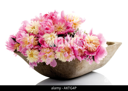 Bunch of peonies in bowl (Paeonia), close-up Stock Photo