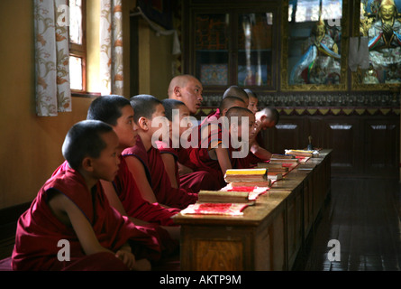The majority of monks in Nepal are refugees from Tibet and live in monasteries. Young monks go to school within the monastery Stock Photo