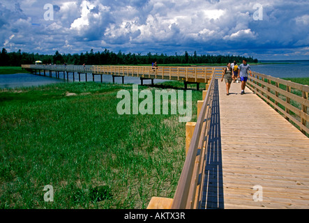 People walking along, boardwalk, Kouchibouguac National Park, near, Richibucto, New Brunswick Province, Canada Stock Photo