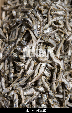 Dried Anchovies at Jagalchi Fish Market  Busan South Korea Stock Photo