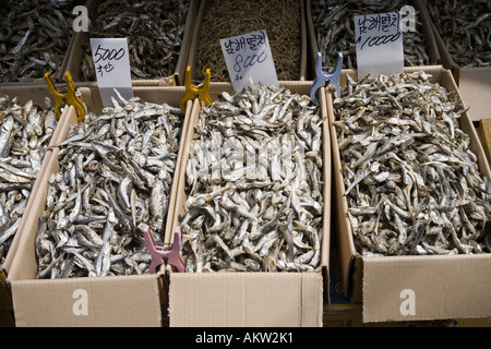 Dried Anchovies on sale at Jagalchi Fish Market Busan South Korea Stock Photo