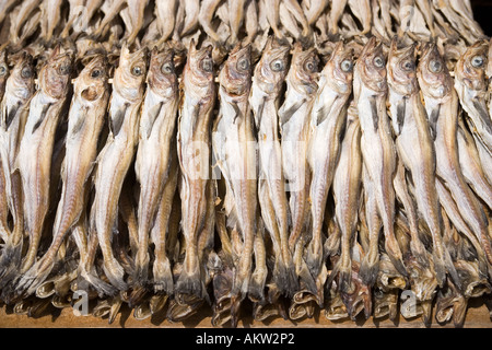 South Korea Busan Jagalchi Fish Market Stock Photo