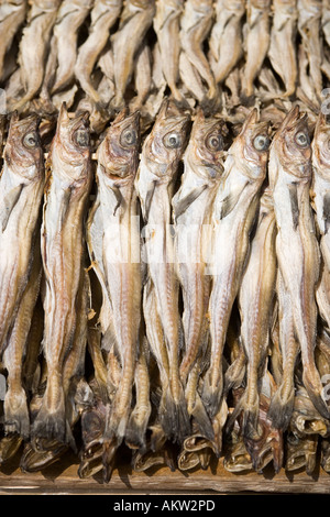 Jagalchi Fish Market Busan South Korea Stock Photo