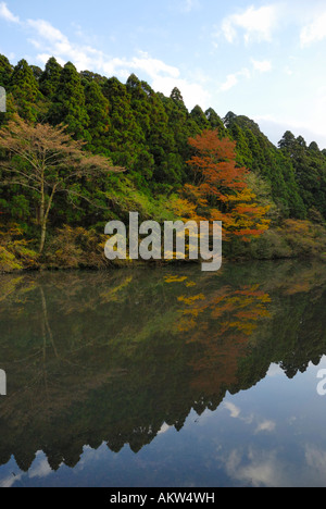 A small pond at Hakone Moto in late fall, Ashinoko JP Stock Photo