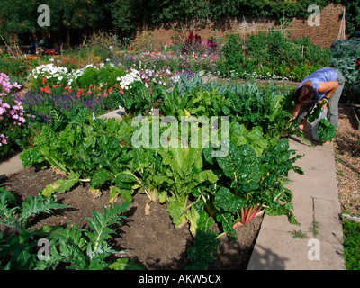 Vegetable plot of the walled kitchen garden at Chiswick House Stock Photo