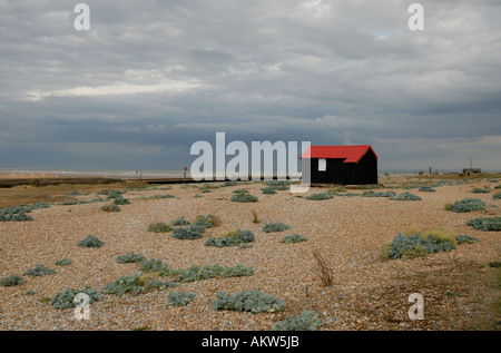 Red roofed and black corrugated iron hut on the shingle above the mouth of the River Rother Stock Photo