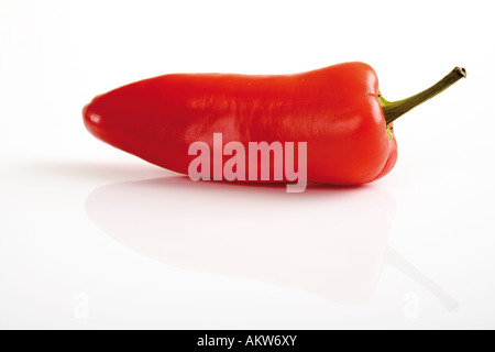 Red Fresno pepper, close-up Stock Photo