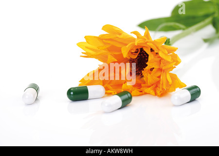 Capsules in front of marigold, close-up Stock Photo