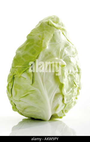Close-up of pointed cabbage Stock Photo