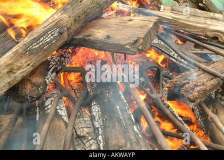 Branding cattle on Logging Camp Ranch North Dakota Stock Photo