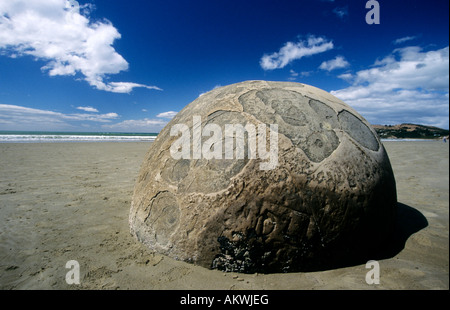 Close Up Of One Of The Moeraki Boulders On The Pacific Coast Of The 