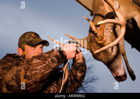Dead whitetail deer hanging in Pike County Illinois Stock Photo