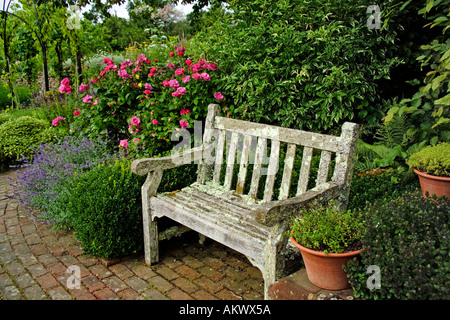 Rhs 2025 rosemoor bench