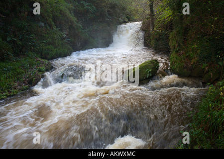 A waterfall cascading down muddied and foaming in full winter flood at Watersmeet on Exmoor near Lynmouth Devon England Stock Photo