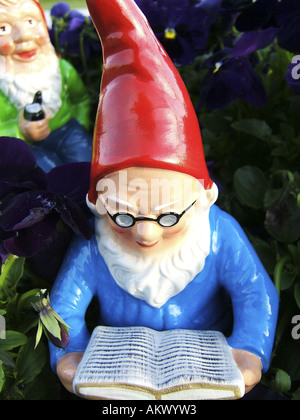 Reading garden gnome in a garden Stock Photo