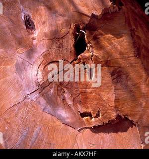 Detail of a piece of wood Stock Photo