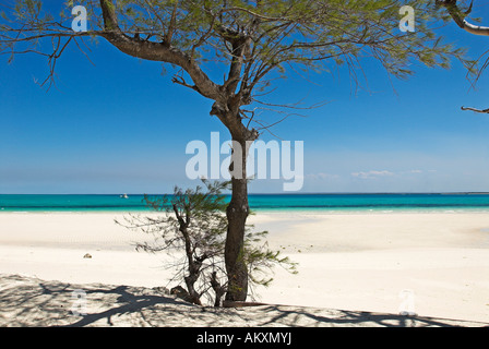 Beach at Matemo Island, Quirimbas islands, Mozambique, Africa Stock Photo