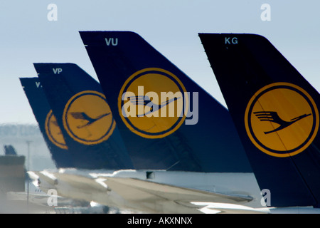 Lufthansa aeroplane fleet on the airport, tail unit, Frankfurt, Germany. Stock Photo